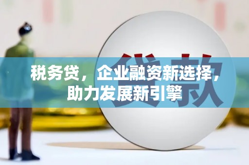 山西税务贷，企业融资新选择，助力发展新引擎