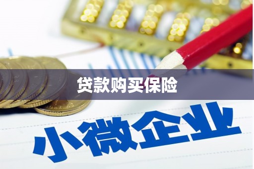 山西贷款购买保险