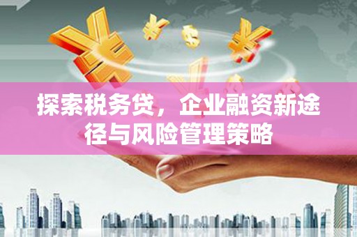 山西探索税务贷，企业融资新途径与风险管理策略