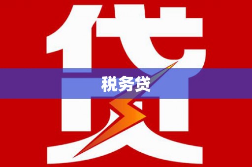 山西税务贷