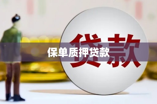山西保单质押贷款