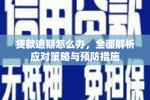 山西贷款逾期怎么办，全面解析应对策略与预防措施