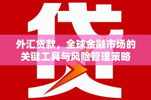 山西外汇贷款，全球金融市场的关键工具与风险管理策略