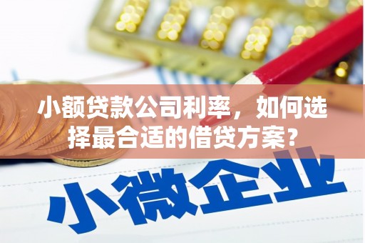 山西小额贷款公司利率，如何选择最合适的借贷方案？