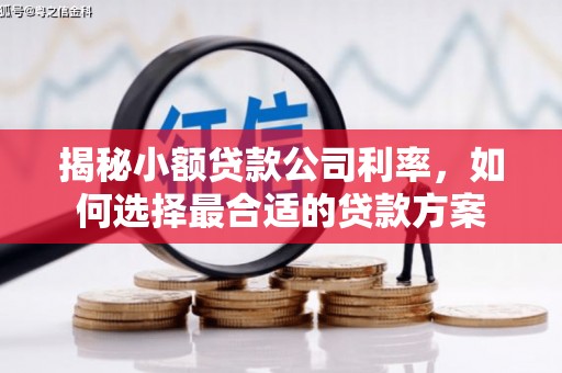 山西揭秘小额贷款公司利率，如何选择最合适的贷款方案