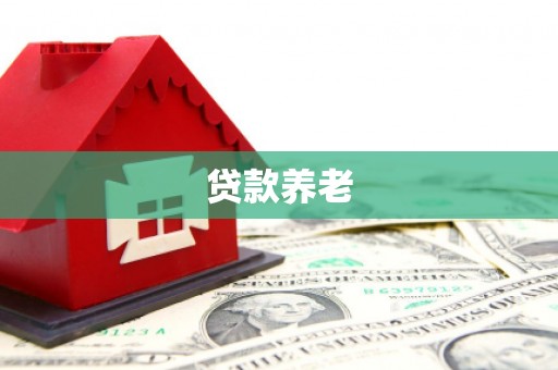 山西贷款养老