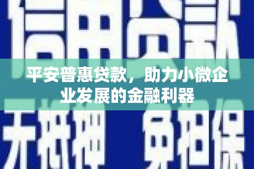 山西平安普惠贷款，助力小微企业发展的金融利器