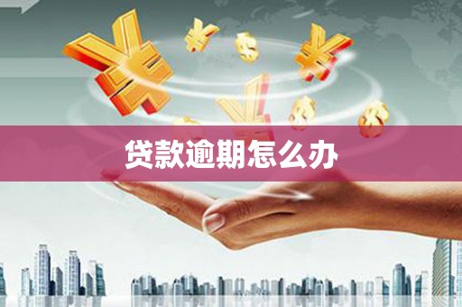 山西贷款逾期怎么办