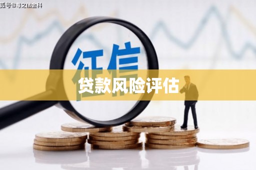山西贷款风险评估