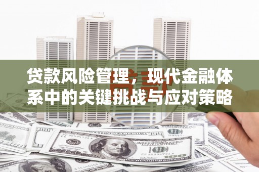 山西贷款风险管理，现代金融体系中的关键挑战与应对策略