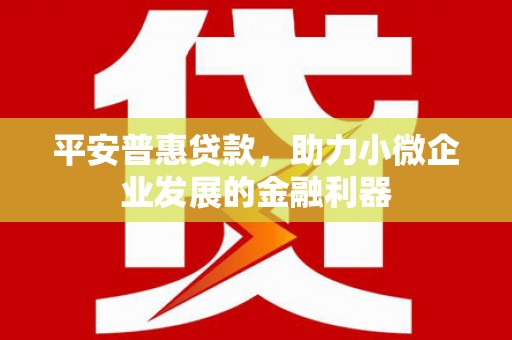 山西平安普惠贷款，助力小微企业发展的金融利器
