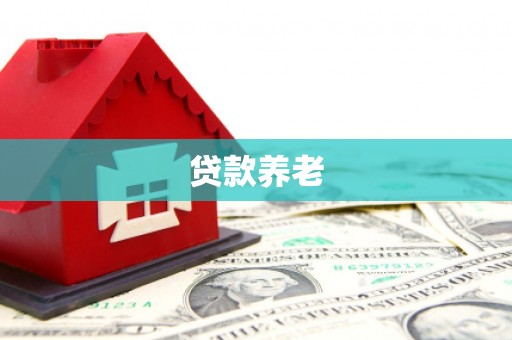 山西贷款养老