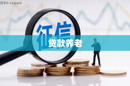 山西贷款养老