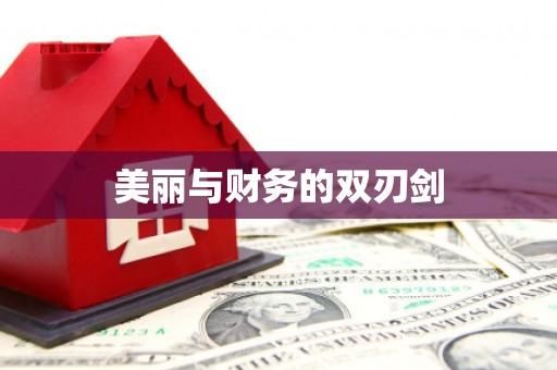 山西美丽与财务的双刃剑