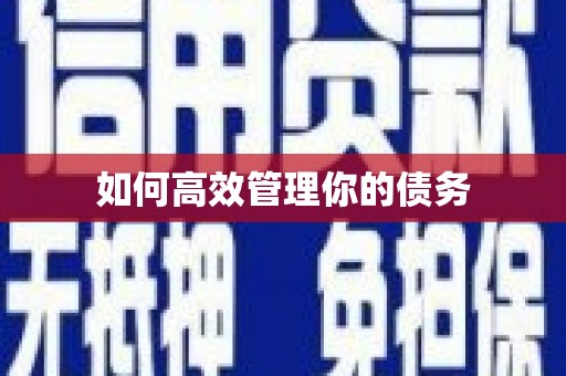 山西如何高效管理你的债务