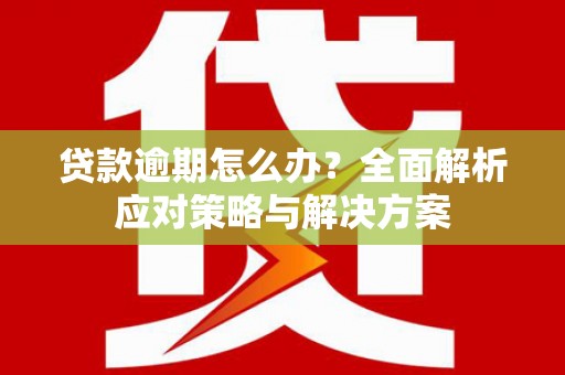 山西贷款逾期怎么办？全面解析应对策略与解决方案
