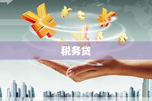 山西税务贷