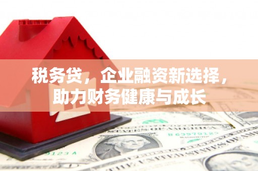山西税务贷，企业融资新选择，助力财务健康与成长